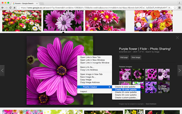 Palette Creator from Chrome web store to be run with OffiDocs Chromium online Palette Creator from Chrome web store to be run with OffiDocs Chromium online