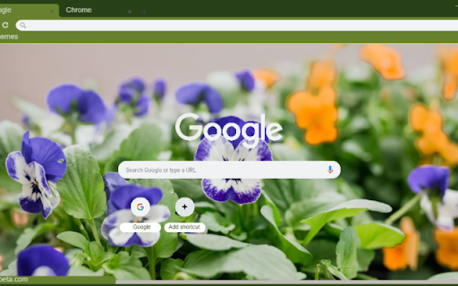 Pansy Viola from Chrome web store to be run with OffiDocs Chromium online Pansy Viola from Chrome web store to be run with OffiDocs Chromium online