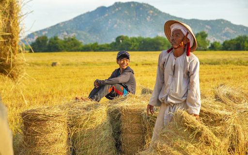 People have a good rice harvest from Chrome web store to be run with OffiDocs Chromium online People have a good rice harvest from Chrome web store to be run with OffiDocs Chromium online