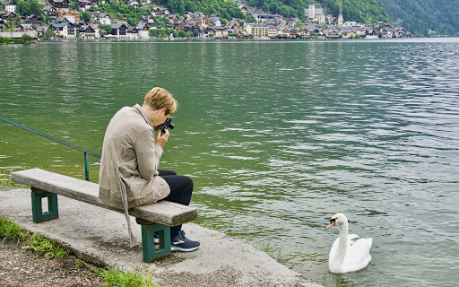 Photography and swans from Chrome web store to be run with OffiDocs Chromium online Photography and swans from Chrome web store to be run with OffiDocs Chromium online