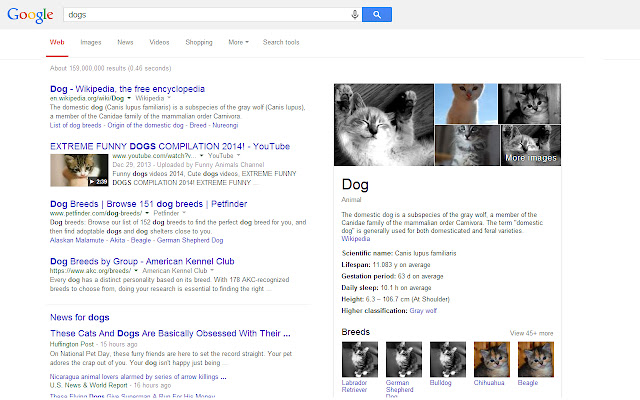 Pics to Kittens from Chrome web store to be run with OffiDocs Chromium online Pics to Kittens from Chrome web store to be run with OffiDocs Chromium online