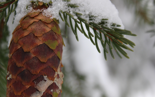 pine trees and snow from Chrome web store to be run with OffiDocs Chromium online pine trees and snow from Chrome web store to be run with OffiDocs Chromium online
