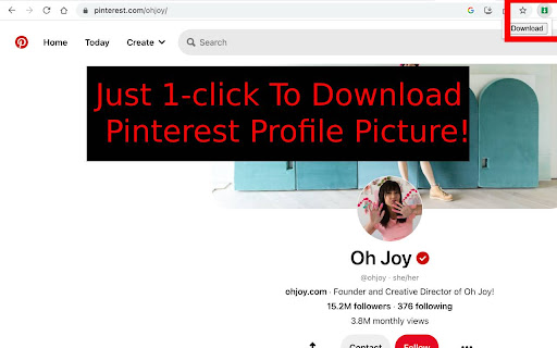 Profile Picture Downloader for Pinterest™ from Chrome web store to be run with OffiDocs Chromium online Profile Picture Downloader for Pinterest™ from Chrome web store to be run with OffiDocs Chromium online