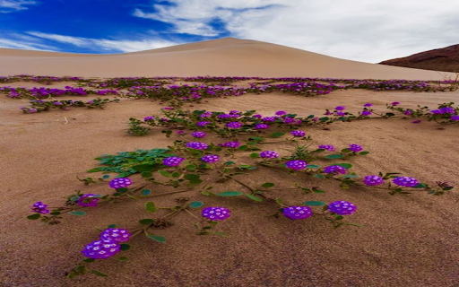 Purple climbingwallpaper from Chrome web store to be run with OffiDocs Chromium online Purple climbingwallpaper from Chrome web store to be run with OffiDocs Chromium online