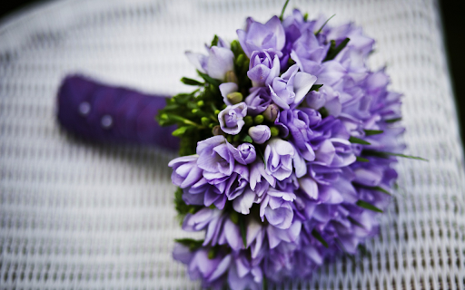 Purple flowers are faithful from Chrome web store to be run with OffiDocs Chromium online Purple flowers are faithful from Chrome web store to be run with OffiDocs Chromium online