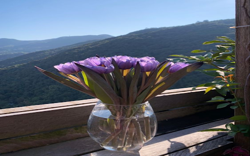 Purple tulip vase wallpaper from Chrome web store to be run with OffiDocs Chromium online Purple tulip vase wallpaper from Chrome web store to be run with OffiDocs Chromium online