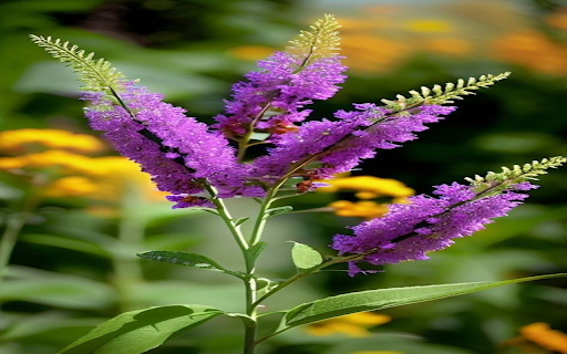 Purple willow wallpaper from Chrome web store to be run with OffiDocs Chromium online Purple willow wallpaper from Chrome web store to be run with OffiDocs Chromium online