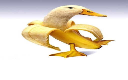 Quack Friend from Chrome web store to be run with OffiDocs Chromium online Quack Friend from Chrome web store to be run with OffiDocs Chromium online