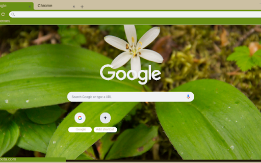 Queen’s Cup from Chrome web store to be run with OffiDocs Chromium online Queen’s Cup from Chrome web store to be run with OffiDocs Chromium online