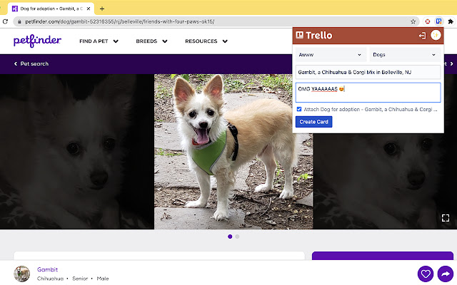 Quick Cards for Trello from Chrome web store to be run with OffiDocs Chromium online Quick Cards for Trello from Chrome web store to be run with OffiDocs Chromium online