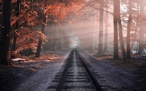 Railway through the forest from Chrome web store to be run with OffiDocs Chromium online Railway through the forest from Chrome web store to be run with OffiDocs Chromium online