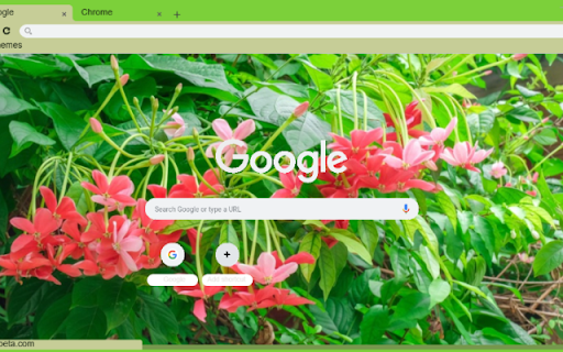 Rangoon Creeper from Chrome web store to be run with OffiDocs Chromium online Rangoon Creeper from Chrome web store to be run with OffiDocs Chromium online