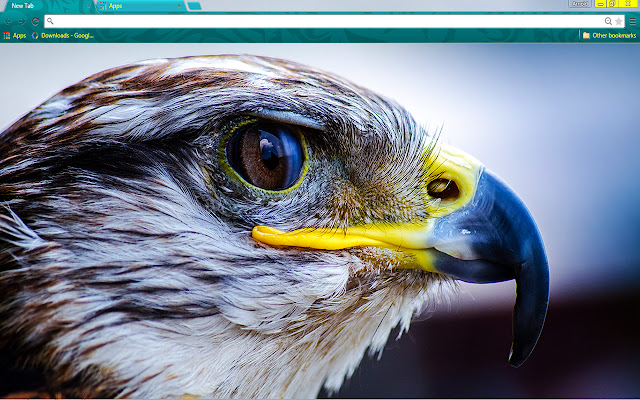 Raptor from Chrome web store to be run with OffiDocs Chromium online Raptor from Chrome web store to be run with OffiDocs Chromium online