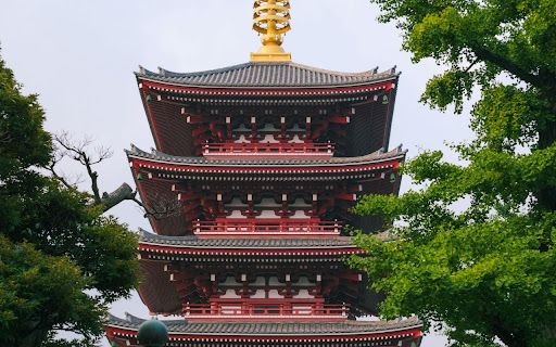 Red Pagoda Amidst the Green Forest from Chrome web store to be run with OffiDocs Chromium online Red Pagoda Amidst the Green Forest from Chrome web store to be run with OffiDocs Chromium online
