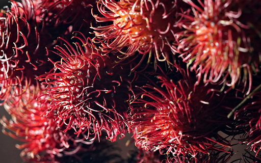 Ripe rambutan from Chrome web store to be run with OffiDocs Chromium online Ripe rambutan from Chrome web store to be run with OffiDocs Chromium online