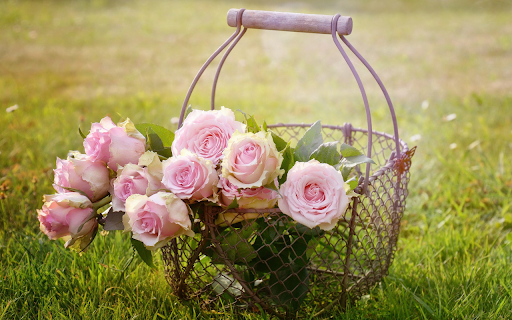 Roses in basket from Chrome web store to be run with OffiDocs Chromium online Roses in basket from Chrome web store to be run with OffiDocs Chromium online