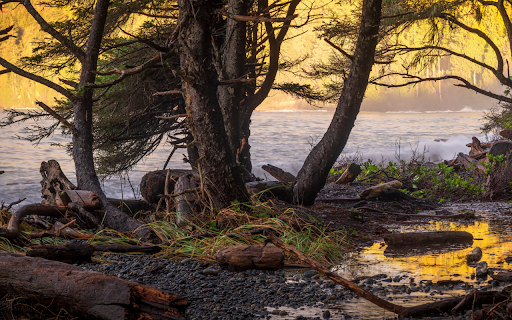 Rugged Coastline at Golden Hour from Chrome web store to be run with OffiDocs Chromium online Rugged Coastline at Golden Hour from Chrome web store to be run with OffiDocs Chromium online