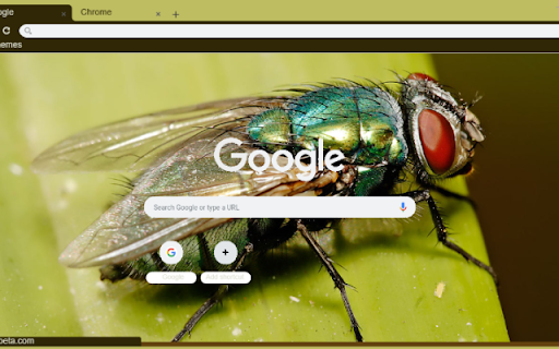 Ruoi from Chrome web store to be run with OffiDocs Chromium online Ruoi from Chrome web store to be run with OffiDocs Chromium online
