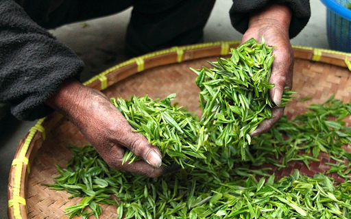 rustic tea from Chrome web store to be run with OffiDocs Chromium online rustic tea from Chrome web store to be run with OffiDocs Chromium online