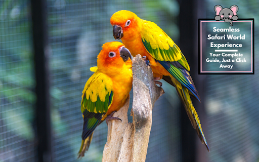 Safari World Bangkok from Chrome web store to be run with OffiDocs Chromium online Safari World Bangkok from Chrome web store to be run with OffiDocs Chromium online