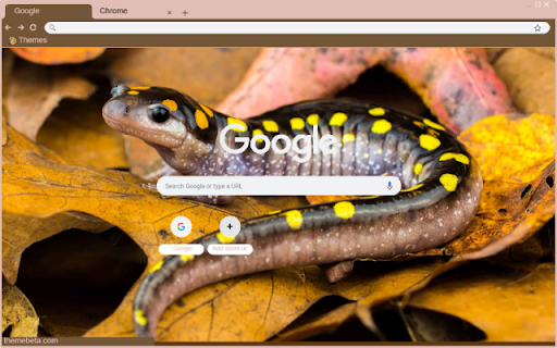 Salamander from Chrome web store to be run with OffiDocs Chromium online Salamander from Chrome web store to be run with OffiDocs Chromium online
