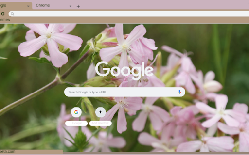 Saponaria from Chrome web store to be run with OffiDocs Chromium online Saponaria from Chrome web store to be run with OffiDocs Chromium online