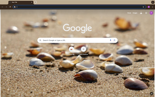 Seashells from Chrome web store to be run with OffiDocs Chromium online Seashells from Chrome web store to be run with OffiDocs Chromium online