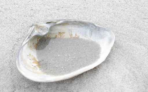 Seashells and sand from Chrome web store to be run with OffiDocs Chromium online Seashells and sand from Chrome web store to be run with OffiDocs Chromium online