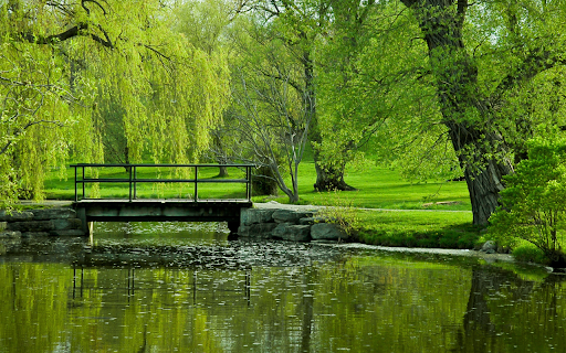Serene Park Bridge from Chrome web store to be run with OffiDocs Chromium online Serene Park Bridge from Chrome web store to be run with OffiDocs Chromium online