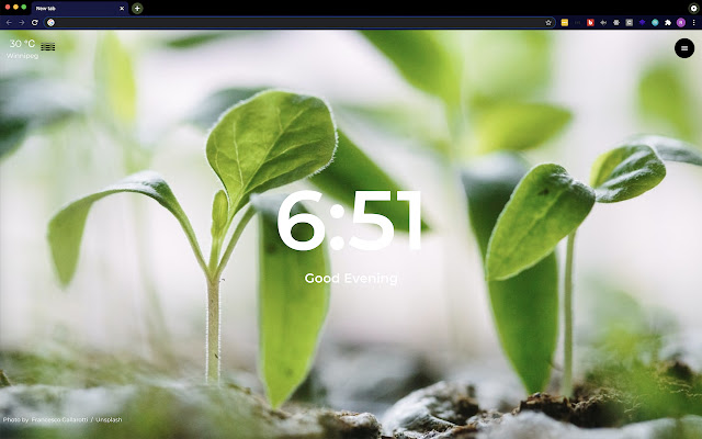 Skyy from Chrome web store to be run with OffiDocs Chromium online Skyy from Chrome web store to be run with OffiDocs Chromium online