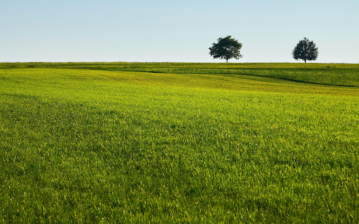 Smooth Green Grass from Chrome web store to be run with OffiDocs Chromium online Smooth Green Grass from Chrome web store to be run with OffiDocs Chromium online