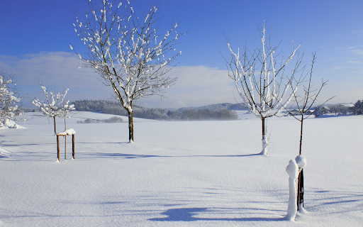 Snow in the sun from Chrome web store to be run with OffiDocs Chromium online Snow in the sun from Chrome web store to be run with OffiDocs Chromium online