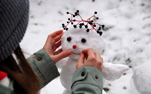 Snowman accident from Chrome web store to be run with OffiDocs Chromium online Snowman accident from Chrome web store to be run with OffiDocs Chromium online