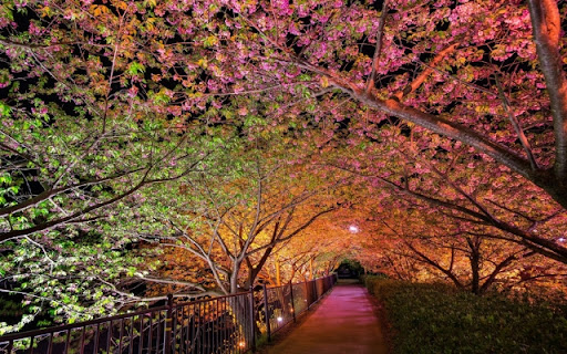 Spring theme 01 from Chrome web store to be run with OffiDocs Chromium online Spring theme 01 from Chrome web store to be run with OffiDocs Chromium online