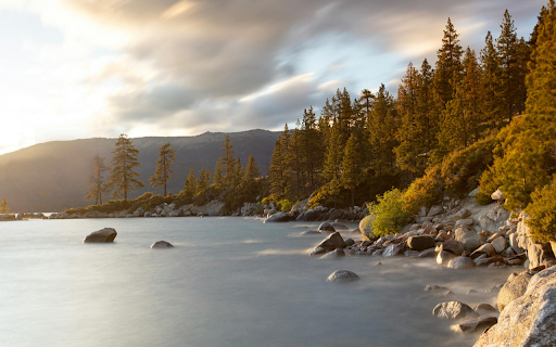 Stream and Forest from Chrome web store to be run with OffiDocs Chromium online Stream and Forest from Chrome web store to be run with OffiDocs Chromium online