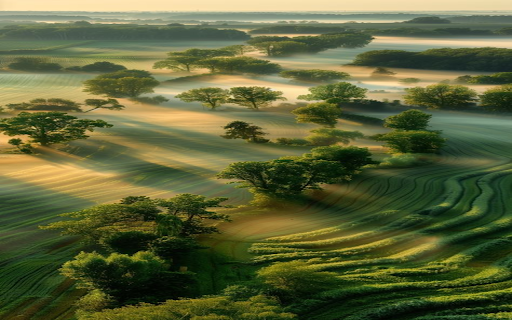 Stretching field wallpaper from Chrome web store to be run with OffiDocs Chromium online Stretching field wallpaper from Chrome web store to be run with OffiDocs Chromium online