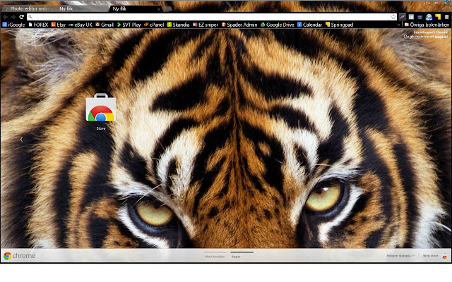 Sumatran Tiger theme from Chrome web store to be run with OffiDocs Chromium online Sumatran Tiger theme from Chrome web store to be run with OffiDocs Chromium online