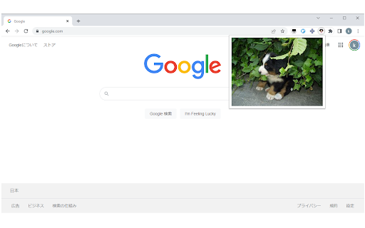 SummonDog from Chrome web store to be run with OffiDocs Chromium online SummonDog from Chrome web store to be run with OffiDocs Chromium online