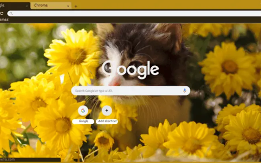 Sunflower Kitten from Chrome web store to be run with OffiDocs Chromium online Sunflower Kitten from Chrome web store to be run with OffiDocs Chromium online