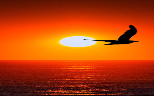 Sunset scene wallpaper from Chrome web store to be run with OffiDocs Chromium online Sunset scene wallpaper from Chrome web store to be run with OffiDocs Chromium online
