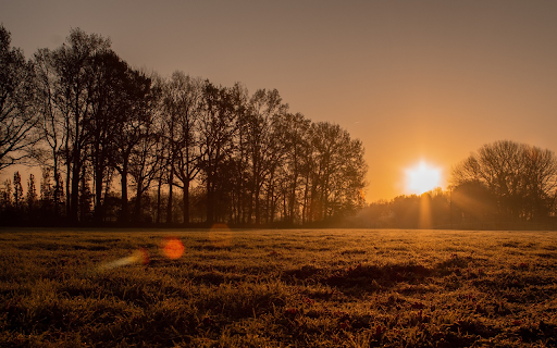 Sunshine on the field from Chrome web store to be run with OffiDocs Chromium online Sunshine on the field from Chrome web store to be run with OffiDocs Chromium online