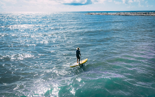 Surfing on the Sea from Chrome web store to be run with OffiDocs Chromium online Surfing on the Sea from Chrome web store to be run with OffiDocs Chromium online