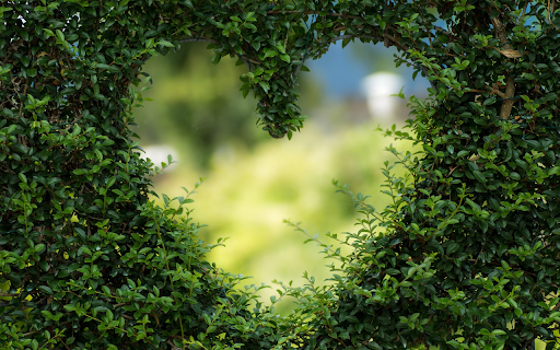 The art of bending trees from Chrome web store to be run with OffiDocs Chromium online The art of bending trees from Chrome web store to be run with OffiDocs Chromium online