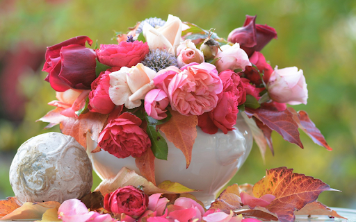 The flower vase falls from Chrome web store to be run with OffiDocs Chromium online The flower vase falls from Chrome web store to be run with OffiDocs Chromium online