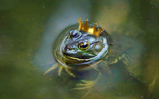 The frog and the golden crown from Chrome web store to be run with OffiDocs Chromium online The frog and the golden crown from Chrome web store to be run with OffiDocs Chromium online