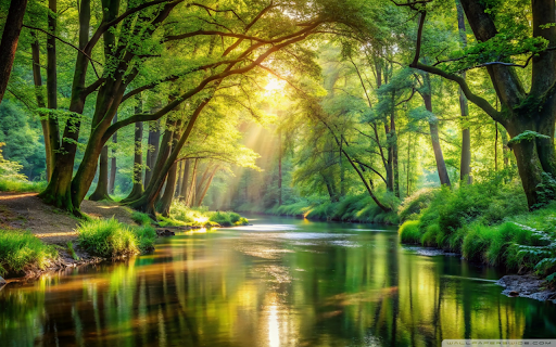 The River Under the Sunlit Forest from Chrome web store to be run with OffiDocs Chromium online The River Under the Sunlit Forest from Chrome web store to be run with OffiDocs Chromium online