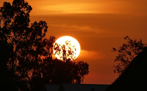 The sun behind the trees from Chrome web store to be run with OffiDocs Chromium online The sun behind the trees from Chrome web store to be run with OffiDocs Chromium online