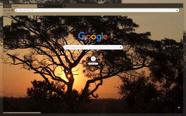 Trees in the sunset from Chrome web store to be run with OffiDocs Chromium online Trees in the sunset from Chrome web store to be run with OffiDocs Chromium online