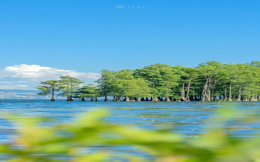 Trees on the water wallpaper from Chrome web store to be run with OffiDocs Chromium online Trees on the water wallpaper from Chrome web store to be run with OffiDocs Chromium online