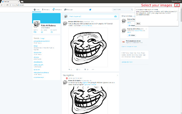 Troll Chrome Images from Chrome web store to be run with OffiDocs Chromium online Troll Chrome Images from Chrome web store to be run with OffiDocs Chromium online